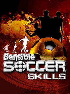 game pic for Sensible soccer skills